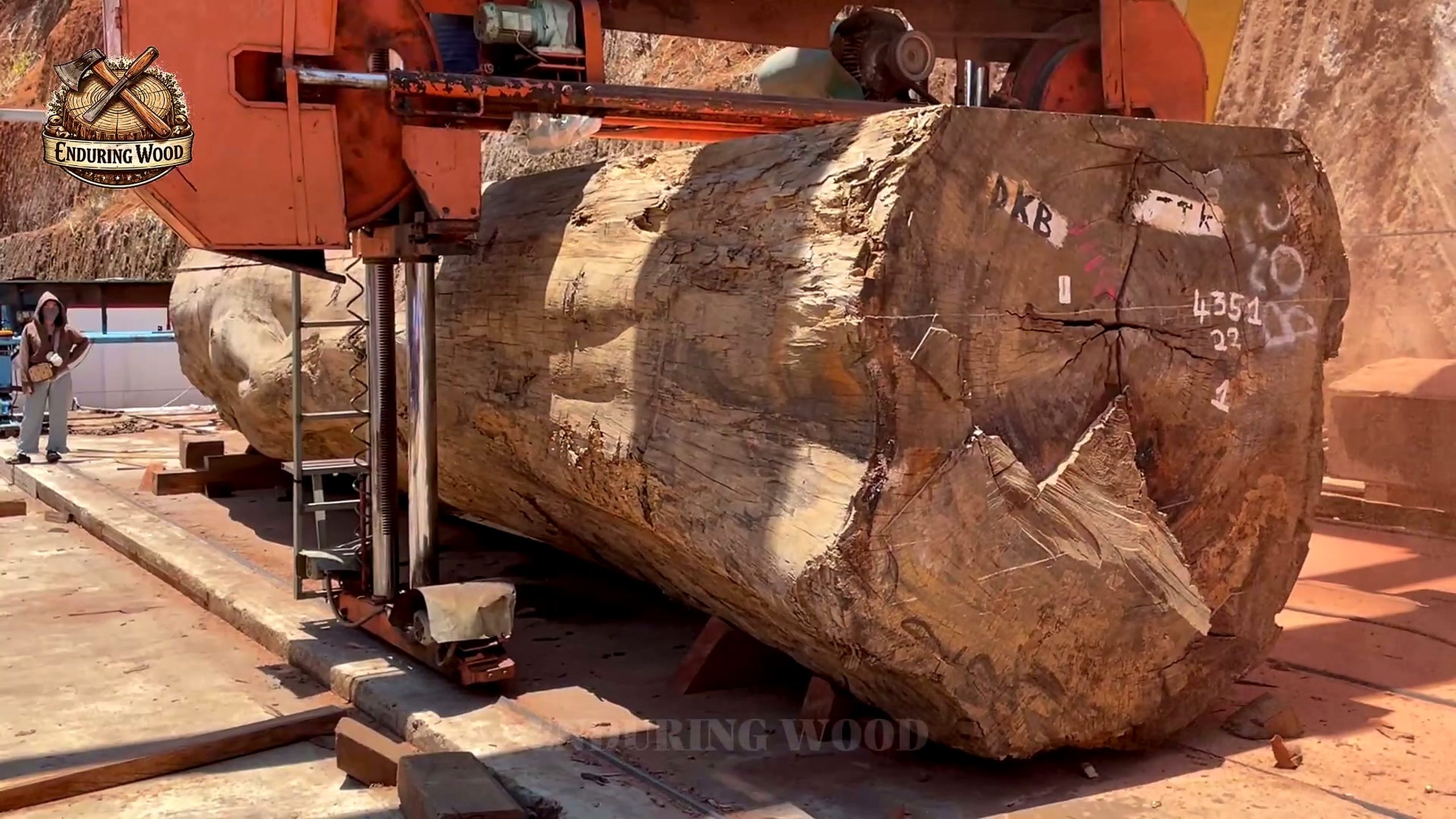 extreme giant wood processing massive machinery - the setup or early workflow visible in the source video