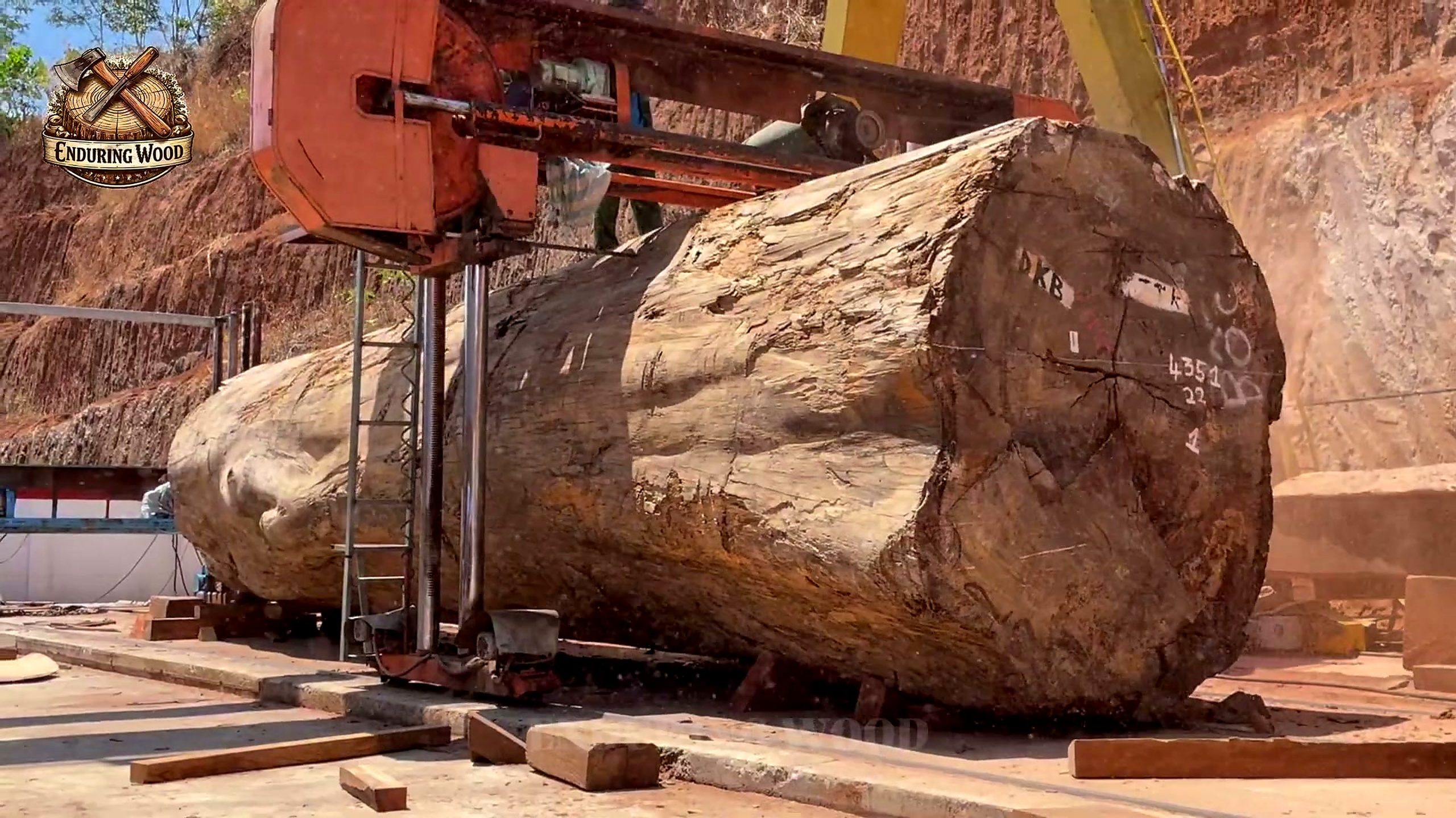 extreme giant wood processing massive machinery - the source video context before the main process is judged