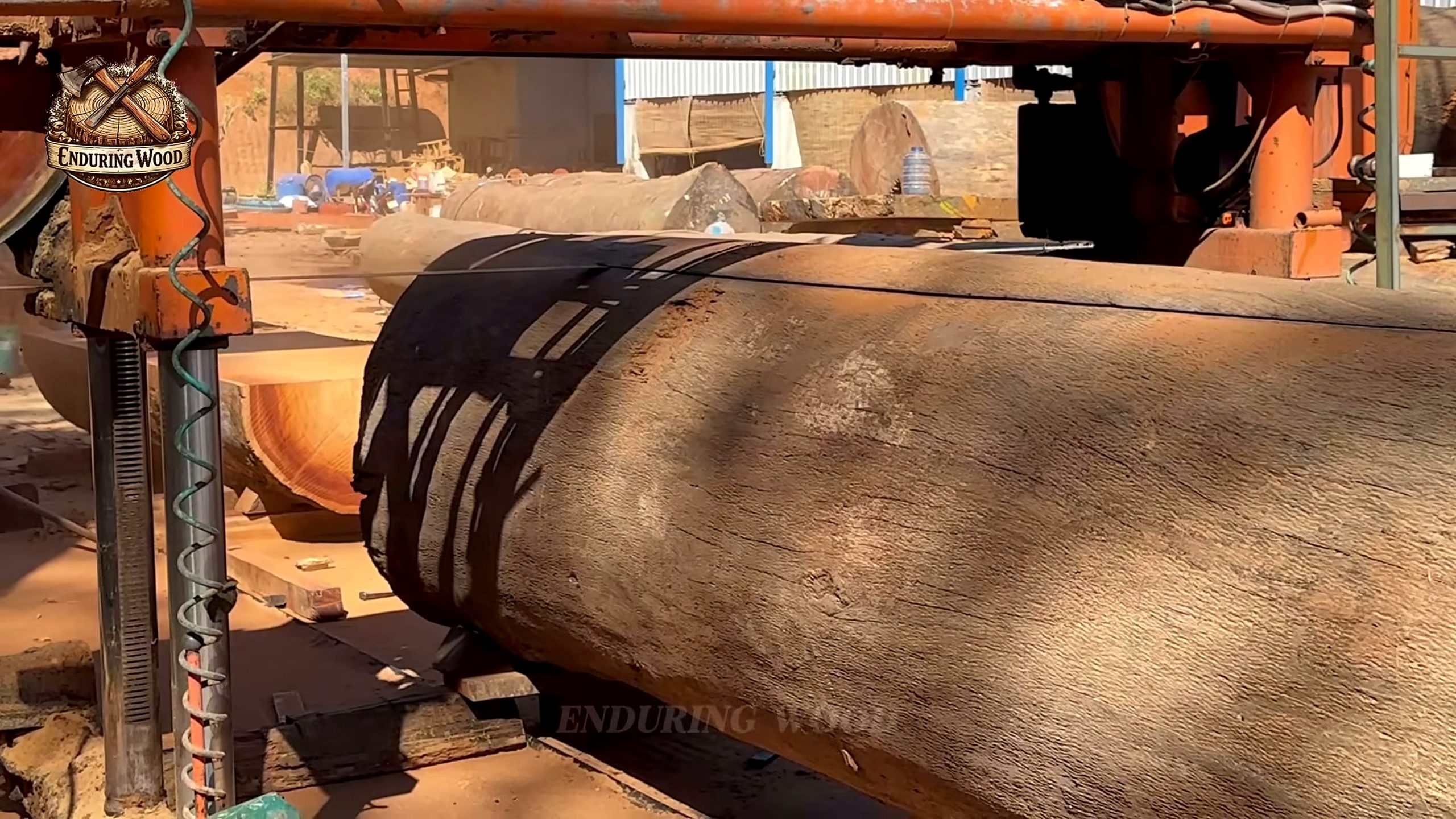 inside extreme wood processing colossal logs - the source video context before the main process is judged