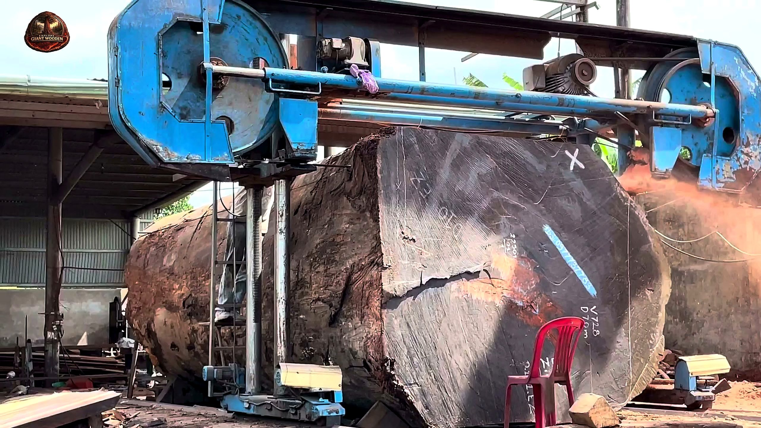 precious wood more valuable than gold - the later review stage where the result can be evaluated