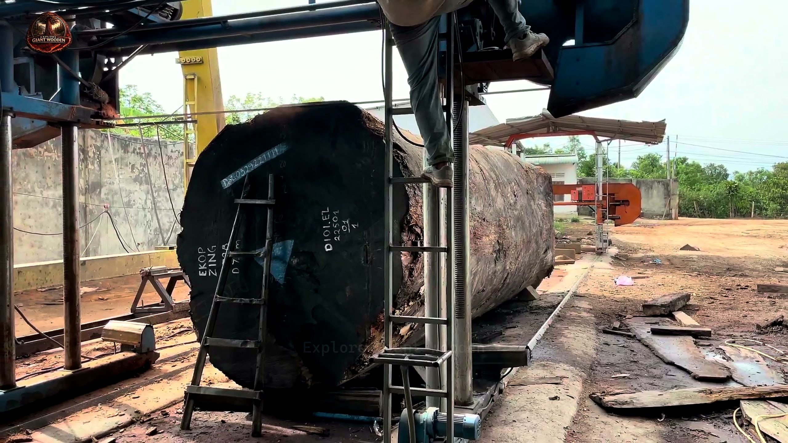 precious wood more valuable than gold - the setup or early workflow visible in the source video