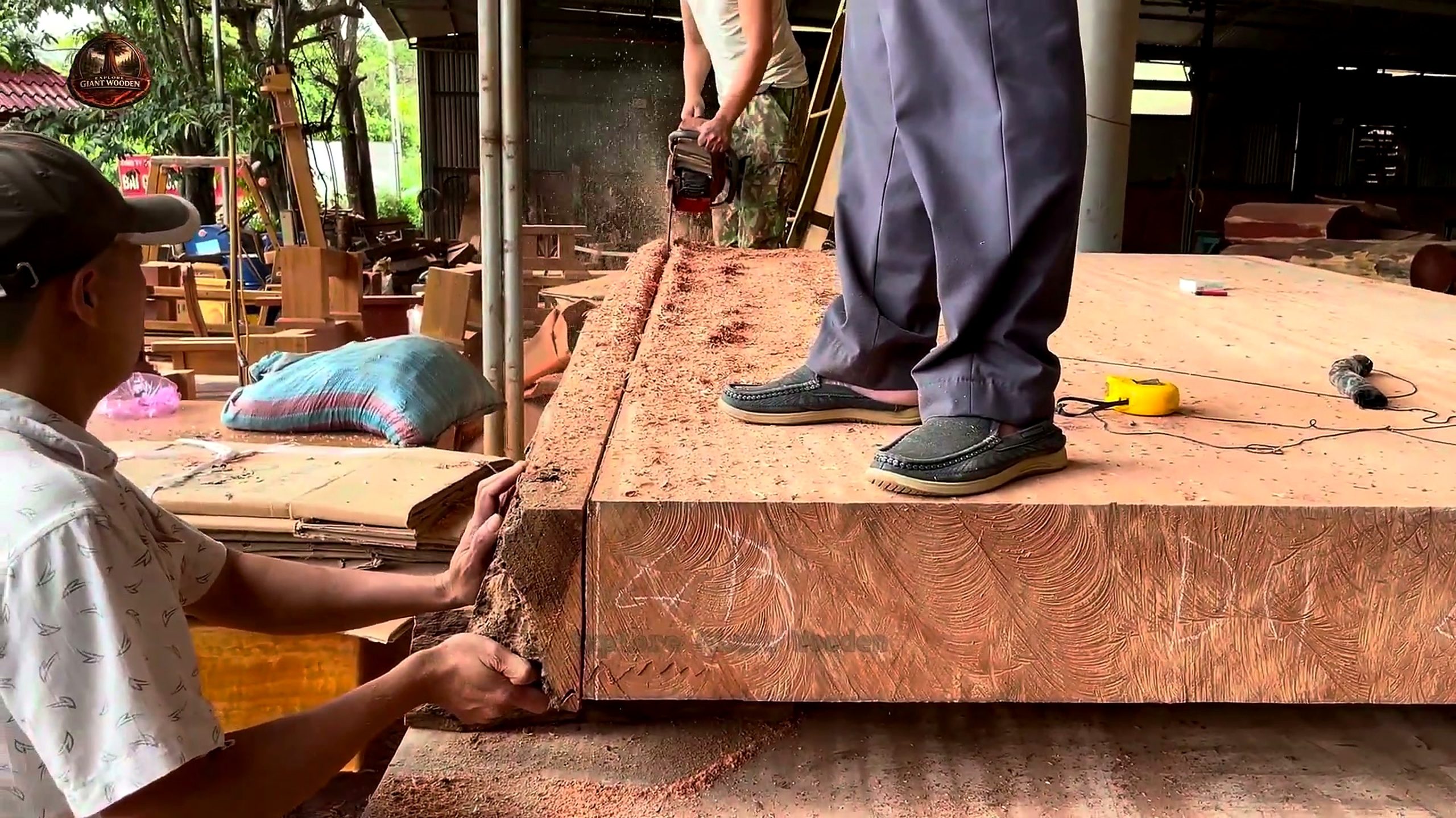 skill cutting giant 1000 year old - the later review stage where the result can be evaluated