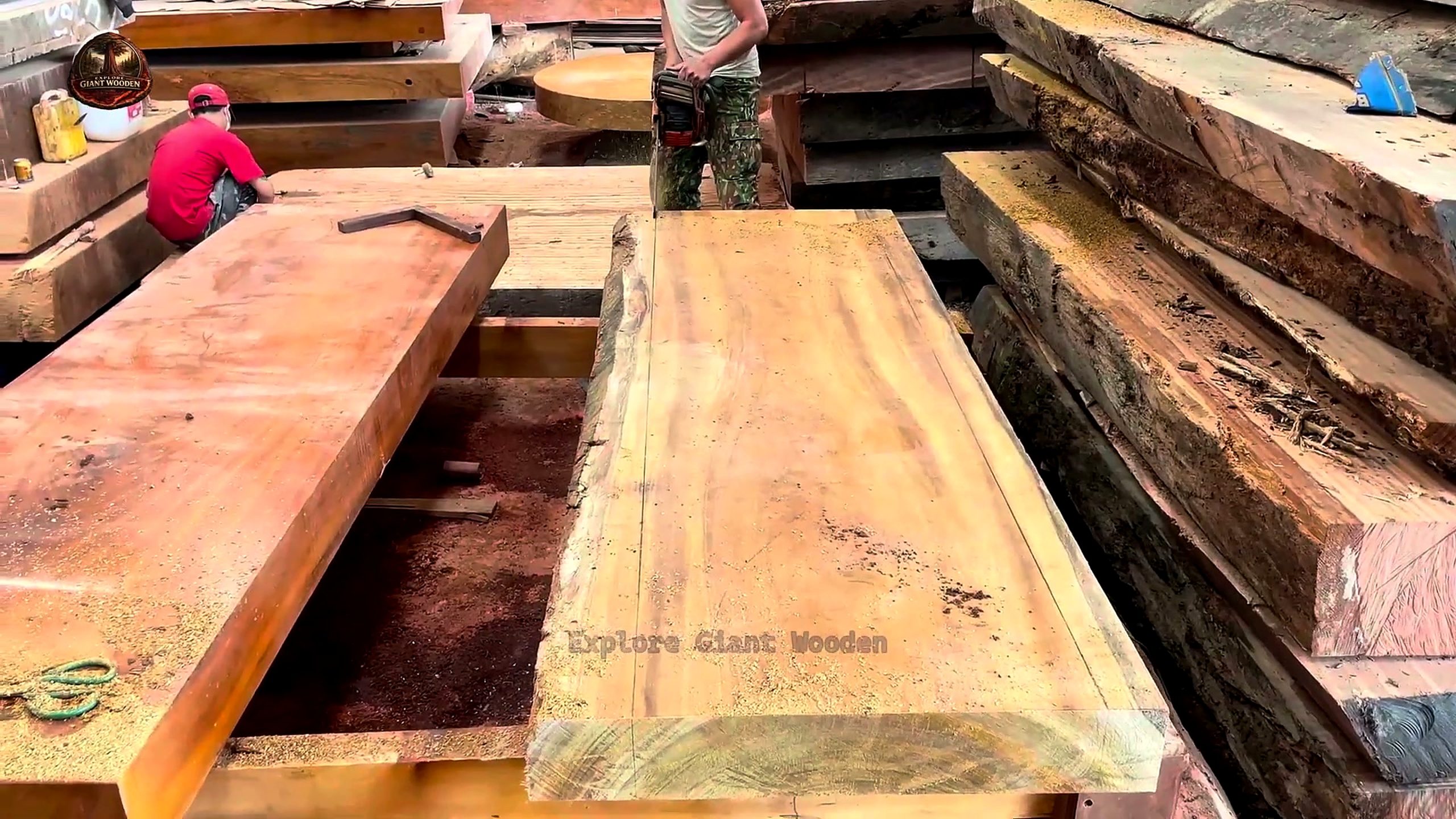 skill cutting giant 1000 year old - the setup or early workflow visible in the source video