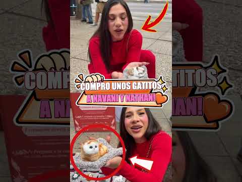 Eli Se Encontró Con Algo, fotograma 1