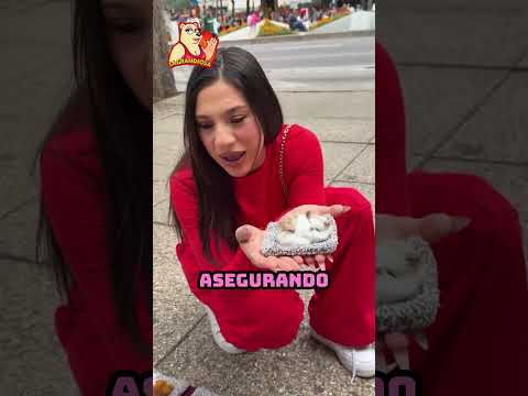 Eli Se Encontró Con Algo, fotograma 3